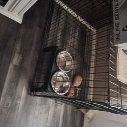 Big dog kennel