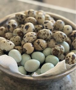 Quail Eggs