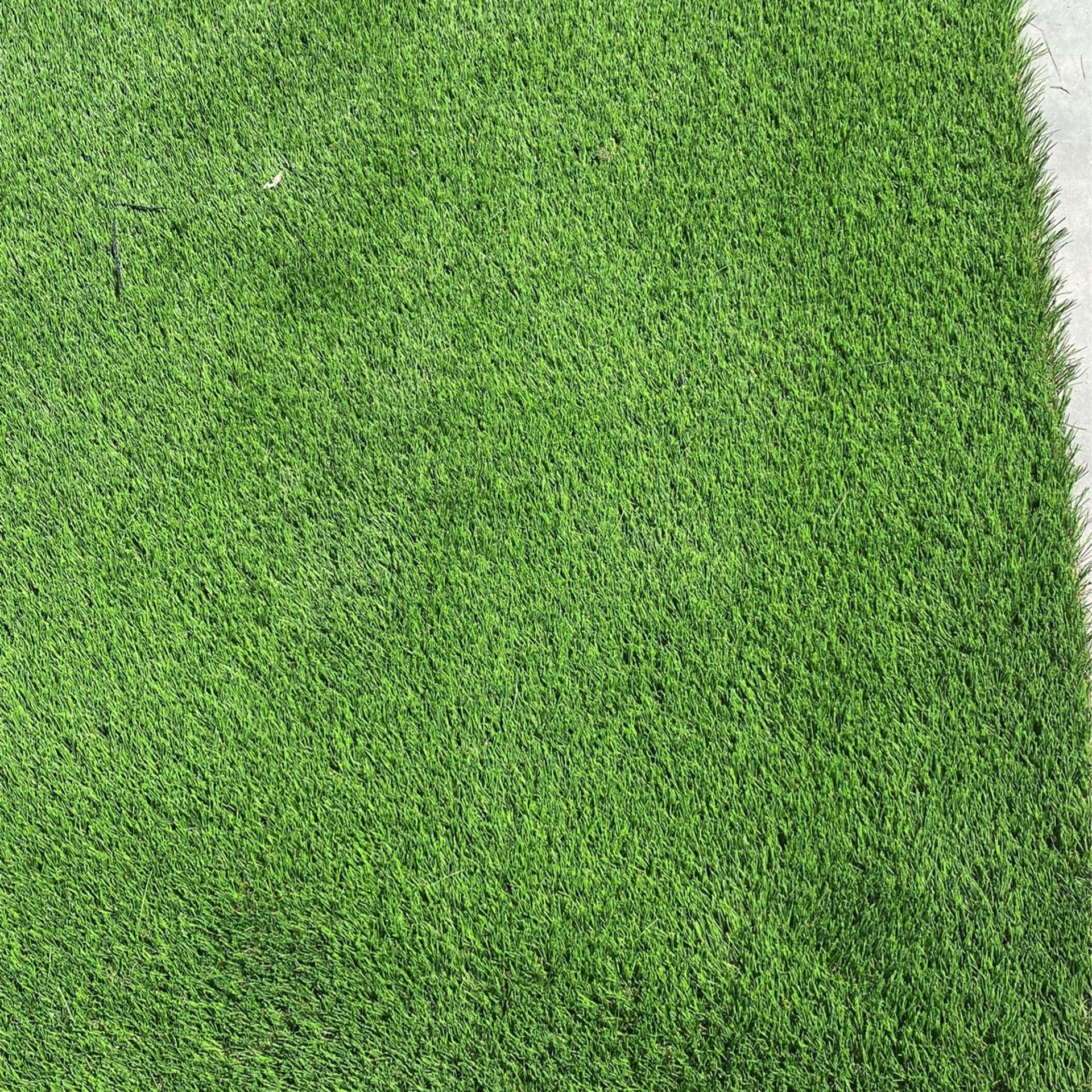 Artificial Turf - Xtreme Flow