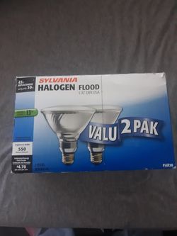 2pak halogen flood lights