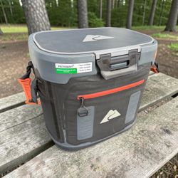 Ozark Trail 36 Can Welded Hard Sided Cooler Bag, Good Condition 17x12x15in