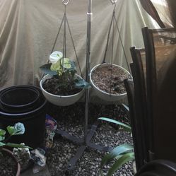 Plant Stand Hanging Expanded Heavy. Pots Not Including .