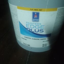 ((((( 5 Gollon Paint)))))