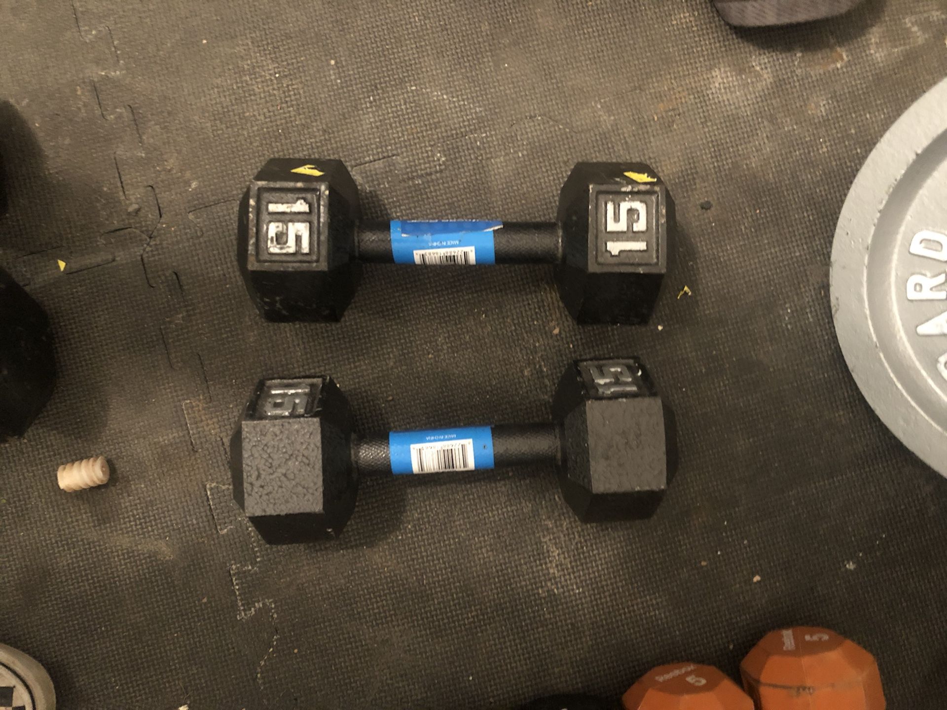 15lb dumbbells