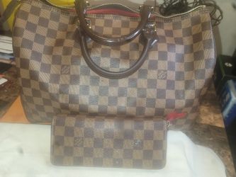 Authentic LV purse & wallet