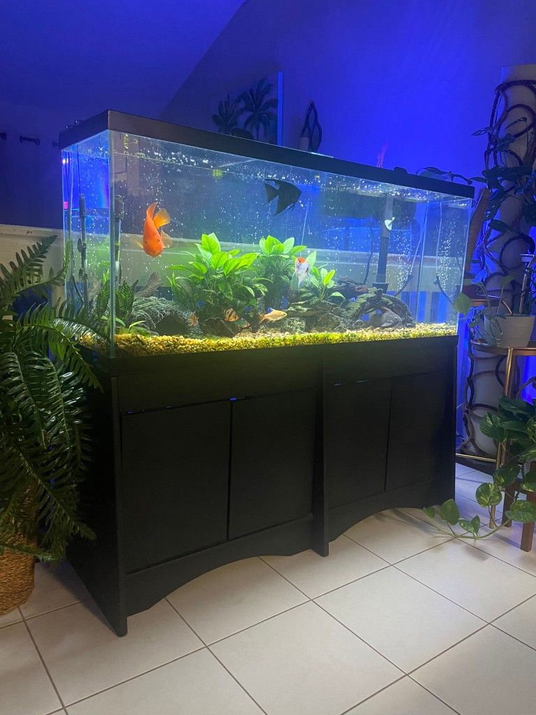 55 Gallon Fish Tank Stand, Decorations, Pump, Filters , Custom Timer light And Extras