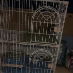 Bunny cage