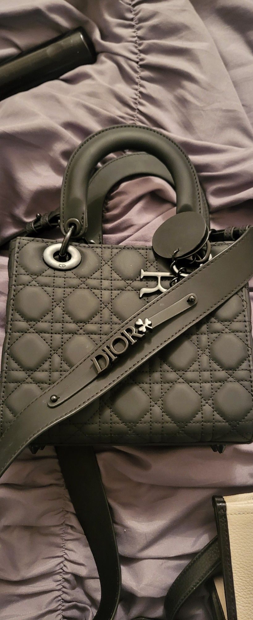 Lux Dior Hand Bag