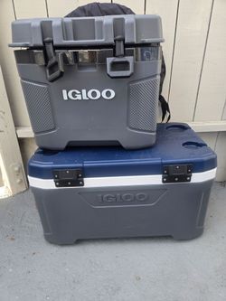 Igloo cooler igloo
