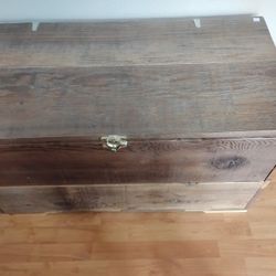 Trunk
