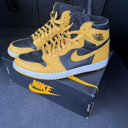 Pollen Jordan 1
