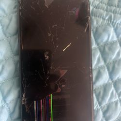 iPhone 11 Found It Don’t Have Any Information On It 