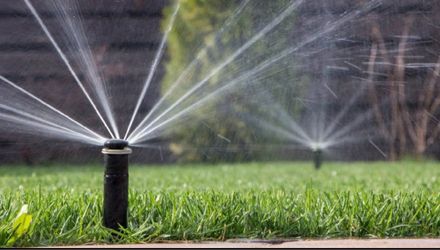 Sprinklers