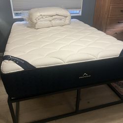 Queen Platform bed And Matress