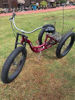 Custom-Made Tricycle