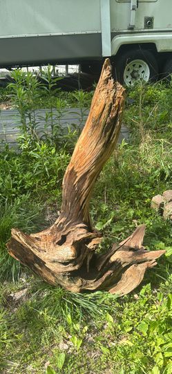 Driftwood aquarium or terrarium