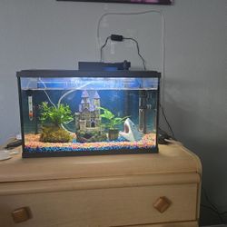 10 Gallon Fish Tank(read Description)