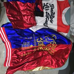 Harley Quinn Costume Size 6