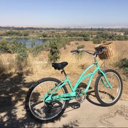 Bike Electra 7 Speed Women