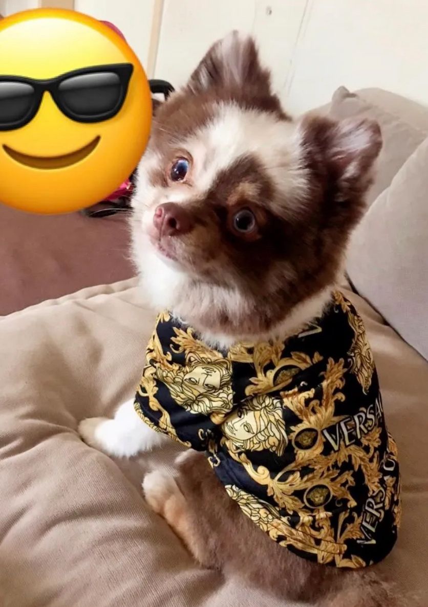 Brand New Dog Shirt