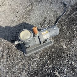 Jacuzzi Pool Pump 