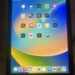 iPad Pro 9.7 inch | 128gb