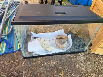 10 Gallon Fish tank