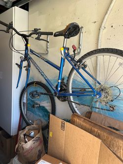 Free women bicycle