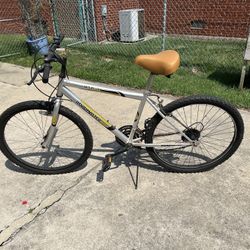 MT. Fury Mountain Bike 