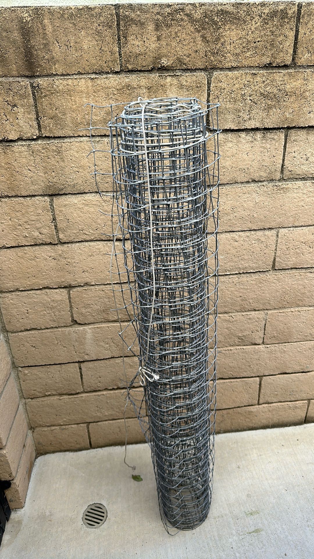 Garden Support For Climbing Plants