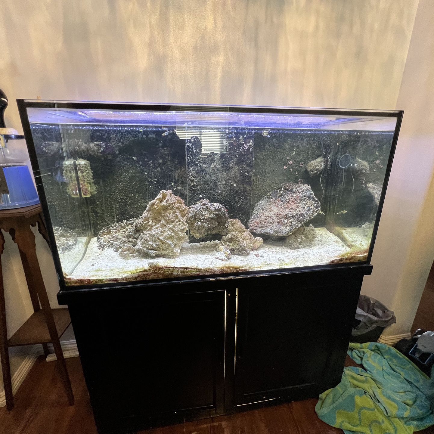 125 Gal Saltwater Fish Tank