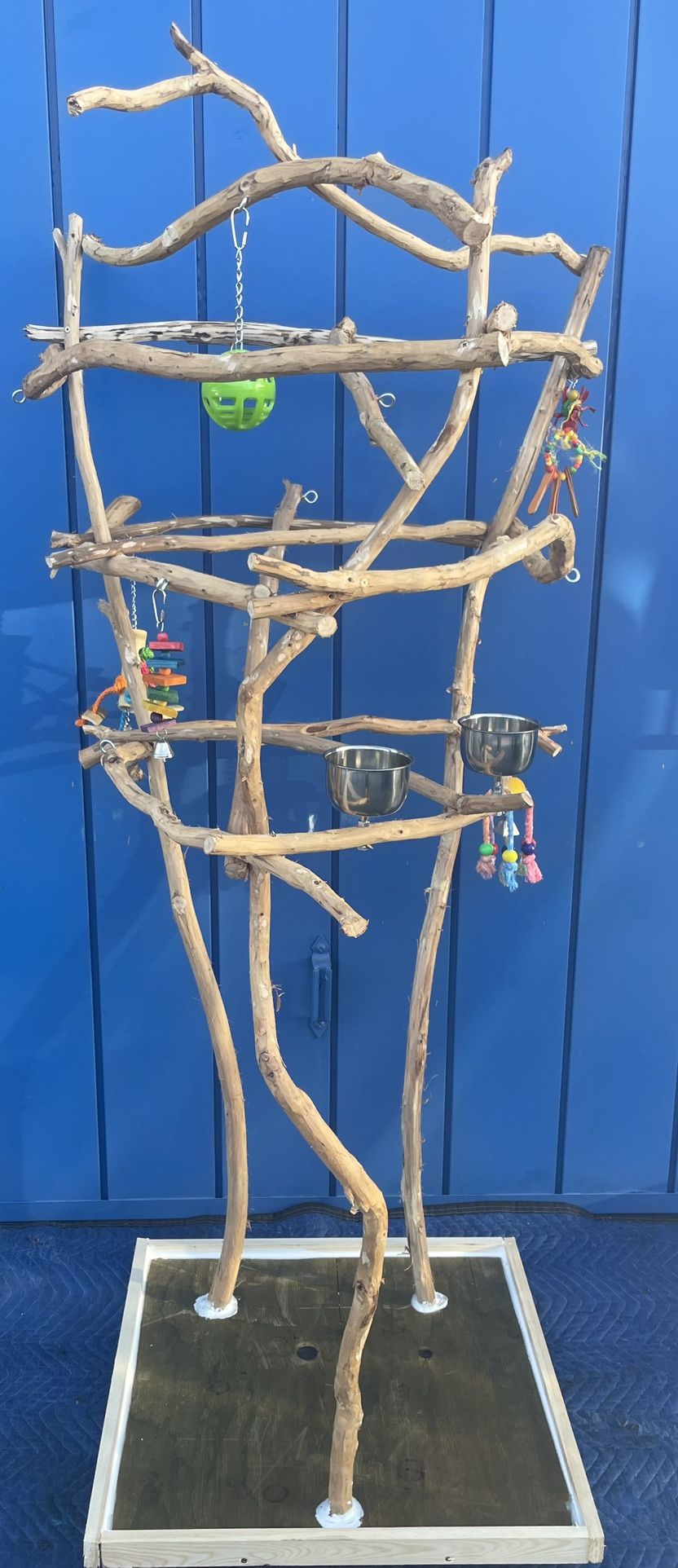 Funky n Curvy African Grey - Amazon Parrot Perch Tree…. All Unique In Hard Durable Ribbon Wood !