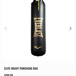 Everlast Punching Bag With Stand