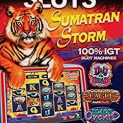 PC SLOTS SUMATRAN STORM- PC AND MAC DVD NEW IN ORIGINAL SLEEVE PACKAGING