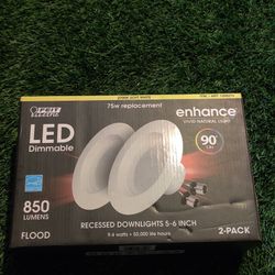 LED 850 Lumens