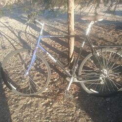 TREK Bicycle