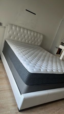 Price for all 12 Amazing expensive furniture for reasonable price