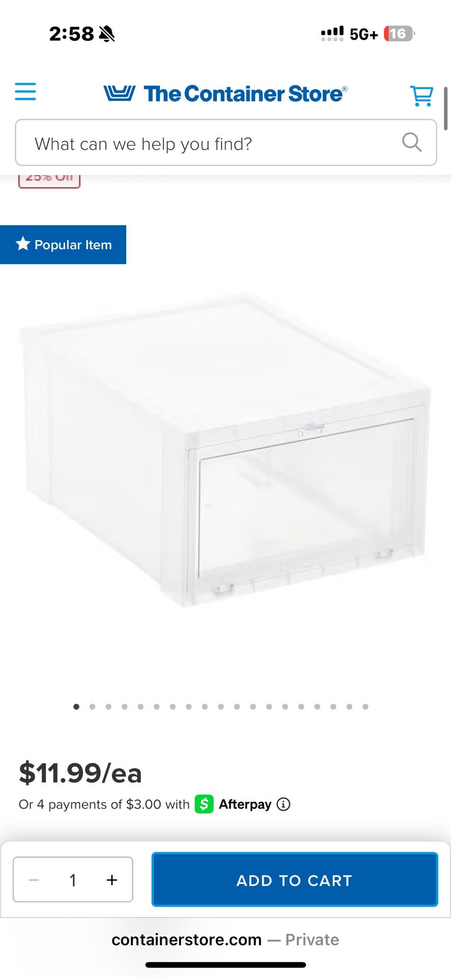 Container Store Large Drop Front Shoe Boxes