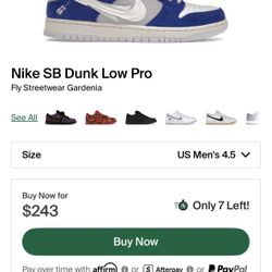 Nike Sb Dunks Fly Streetwear 