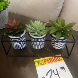 Plant W/ Metal Stand
