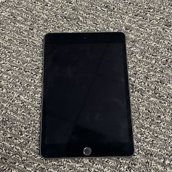 iPad Mini 5th Gen 64GB (No Charger)
