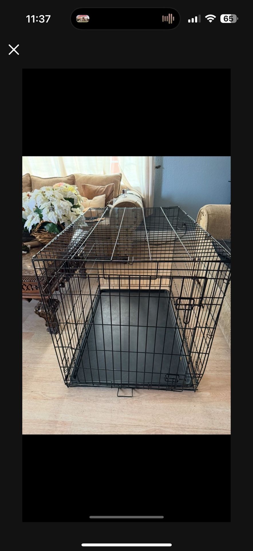 BIG DOG CAGE