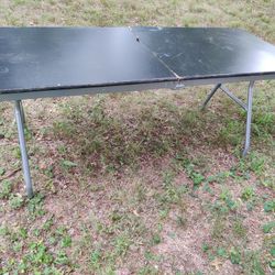 Professional Dog Grooming Table by MECO 