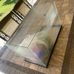 Fish Tank 20 Gal