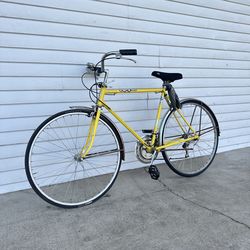 Schwinn Project Bike