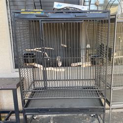 Metal  Birdcage 