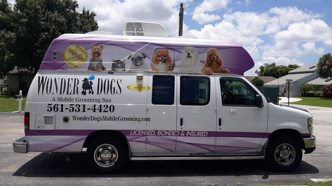 Grooming Van For Sale. Low Miles VGC