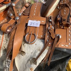Horse Saddle Lots Of Detail