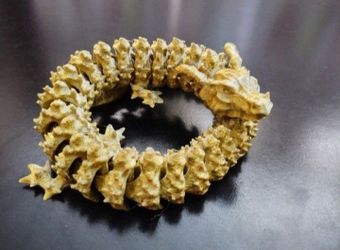 16" 3-D Printed Dragon