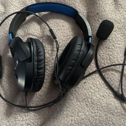 Turtle beaches